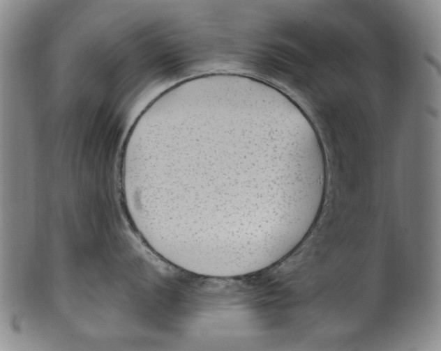 X0000099481056200806061240