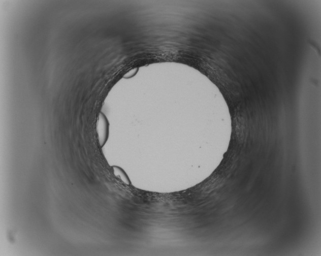 X0000099481057200806061240