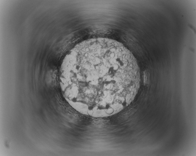 X0000099481059200806061240
