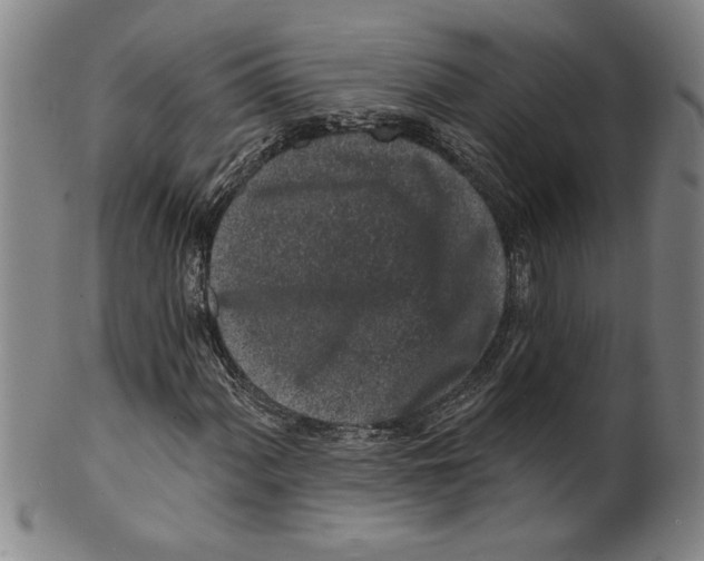 X0000099481060200806061240