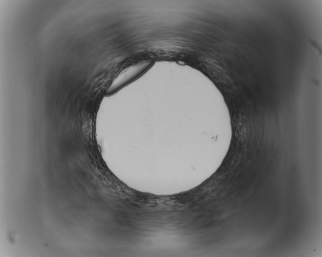 X0000099481061200806061240