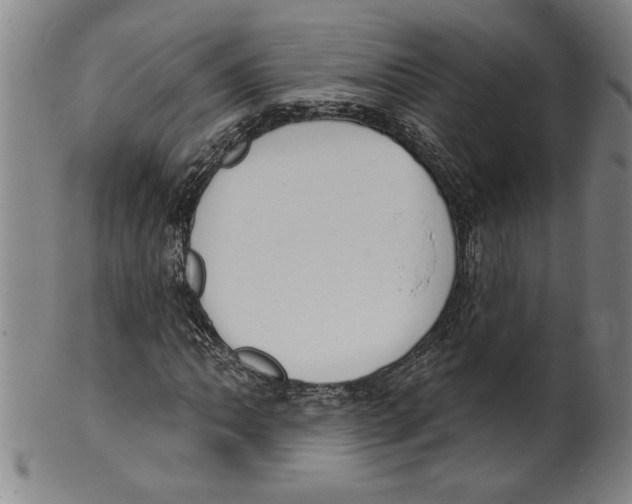 X0000099481062200806061240