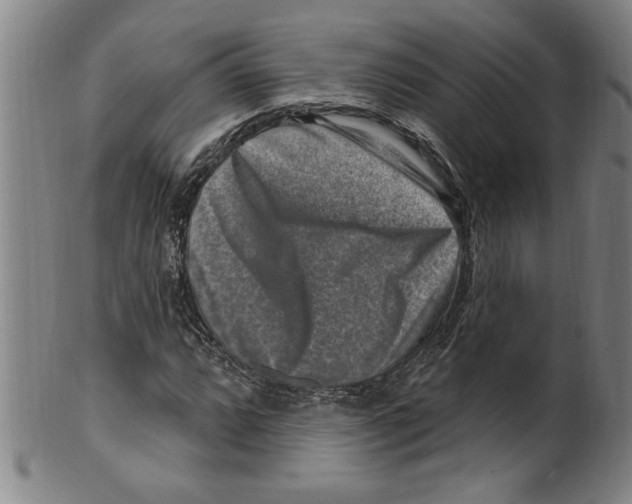 X0000099481064200806061240