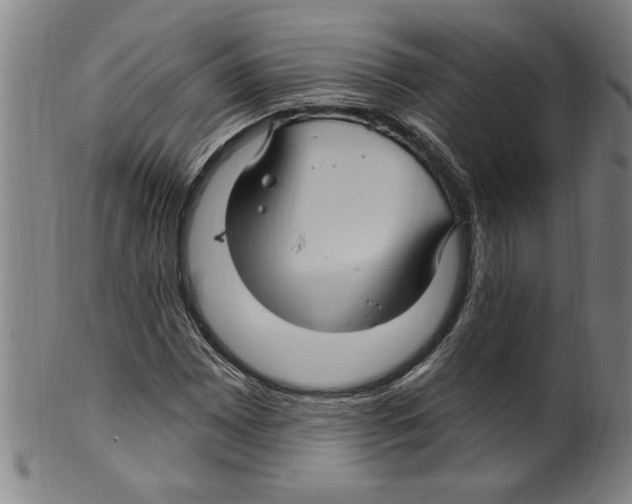 X0000099481065200806061240