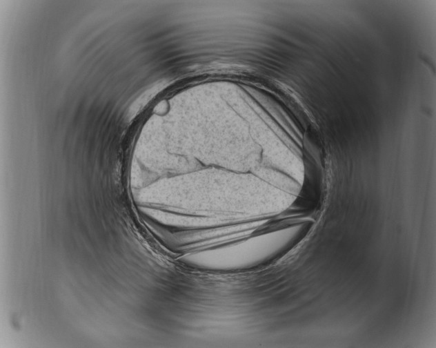 X0000099481066200806061240