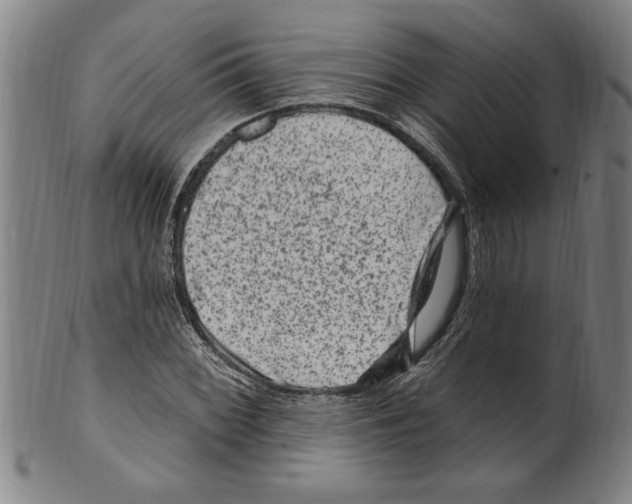 X0000099481068200806061240