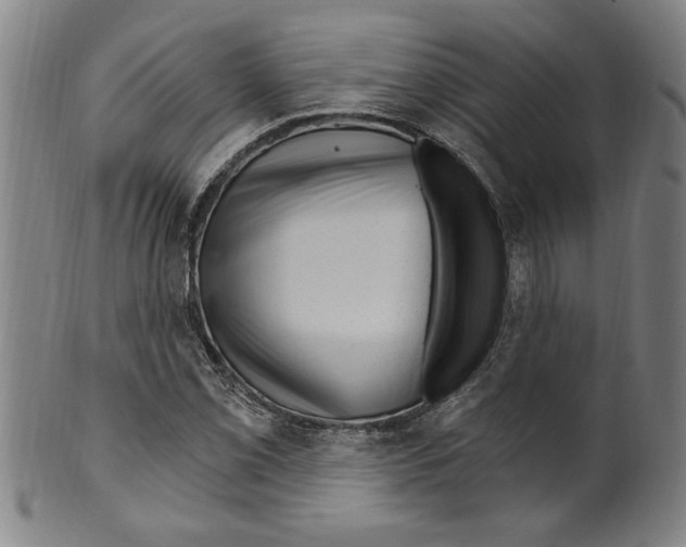 X0000099481069200806061240