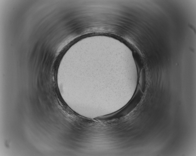X0000099481070200806061240