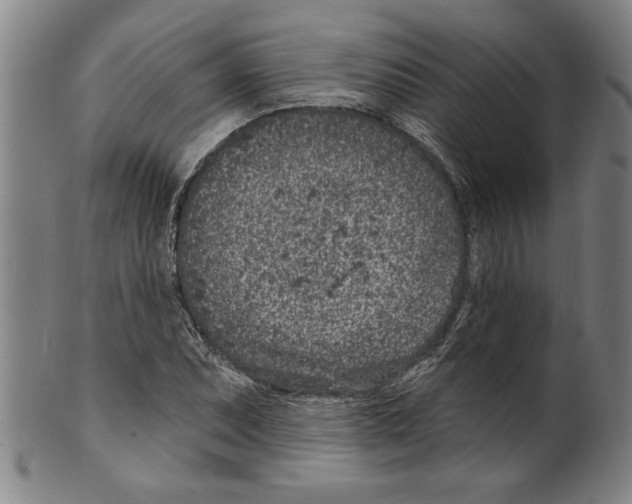 X0000099481071200806061240