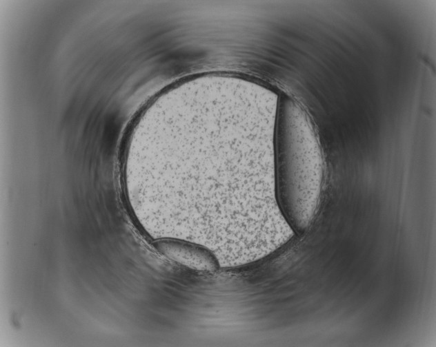 X0000099481072200806061240