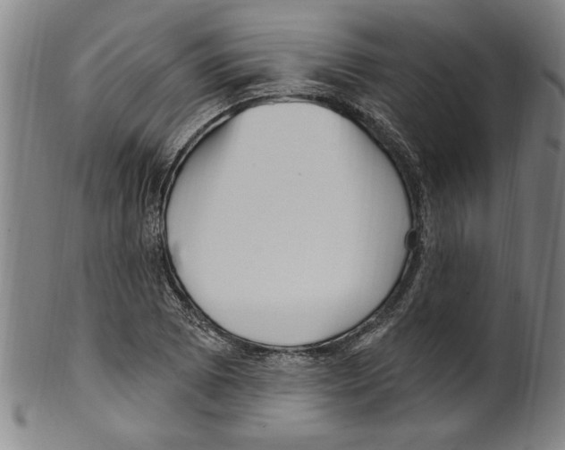 X0000099481073200806061240