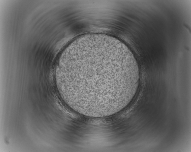 X0000099481074200806061240