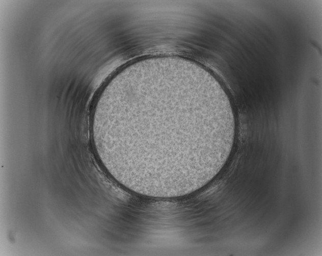 X0000099481075200806061239