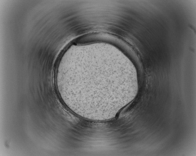X0000099481076200806061239