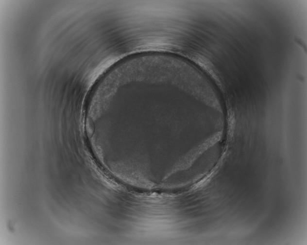 X0000099481077200806061239
