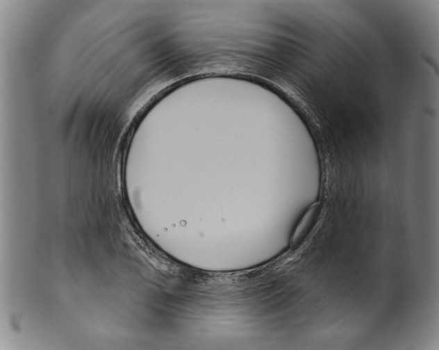X0000099481078200806061239