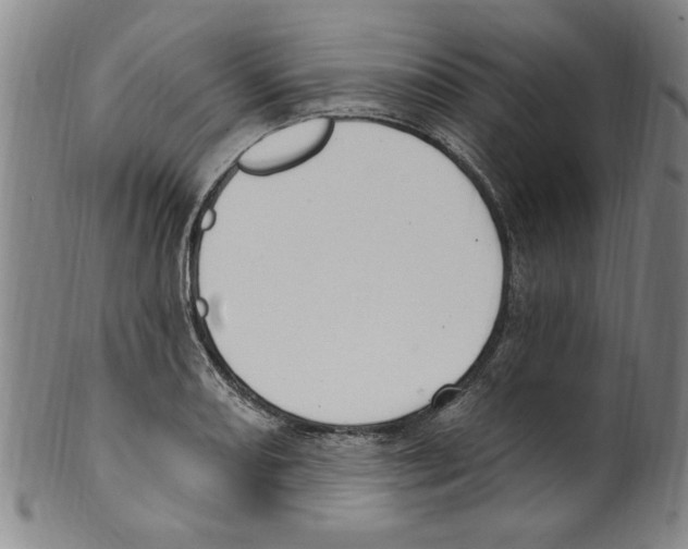 X0000099481082200806061239