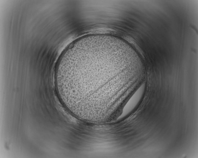 X0000099481083200806061239