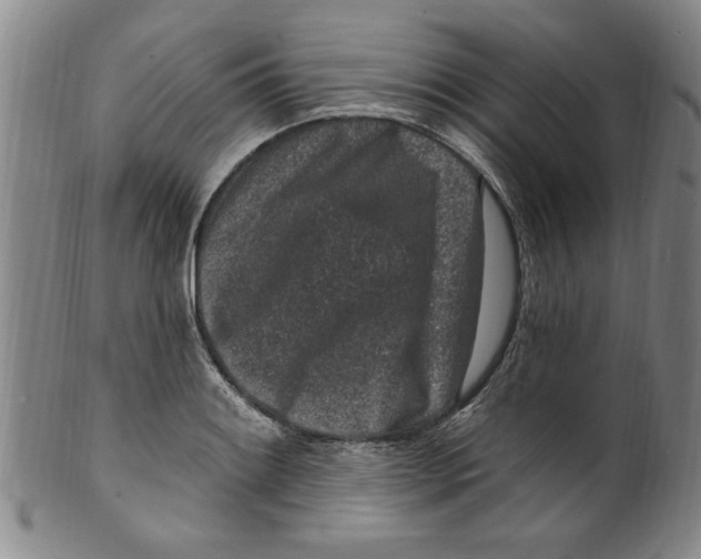 X0000099481084200806061239