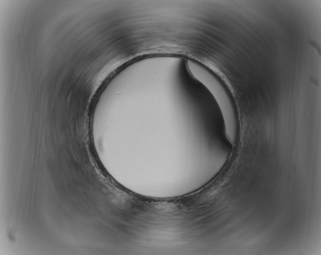 X0000099481085200806061239