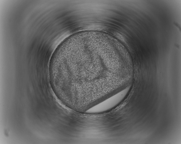 X0000099481087200806061239