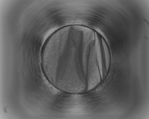 X0000099481088200806061239