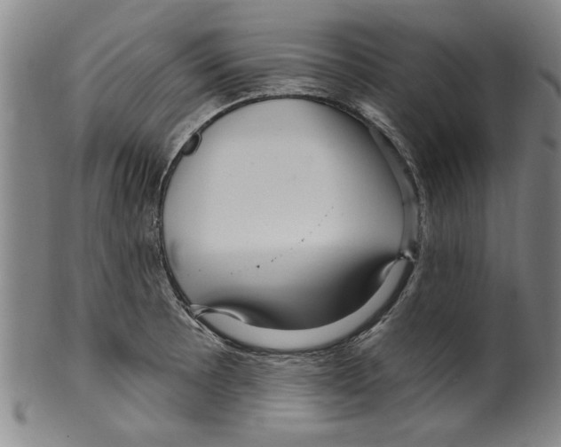 X0000099481089200806061239