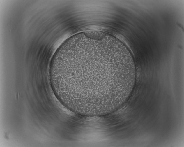 X0000099481091200806061239