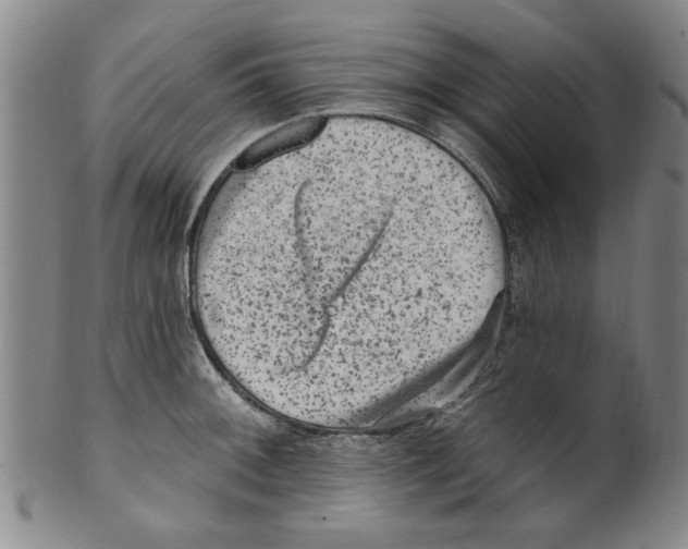 X0000099481092200806061239