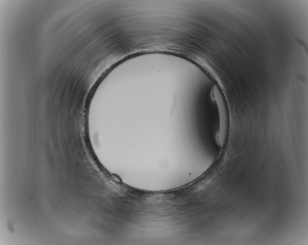 X0000099481093200806061239