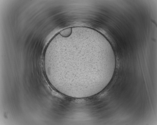 X0000099481094200806061239