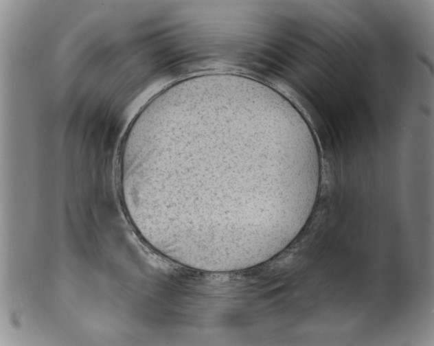 X0000099481098200806061239