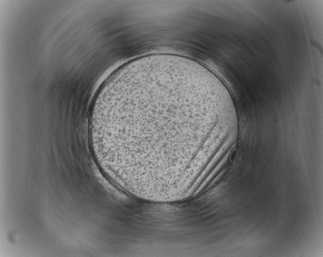 X0000099481100200806061239