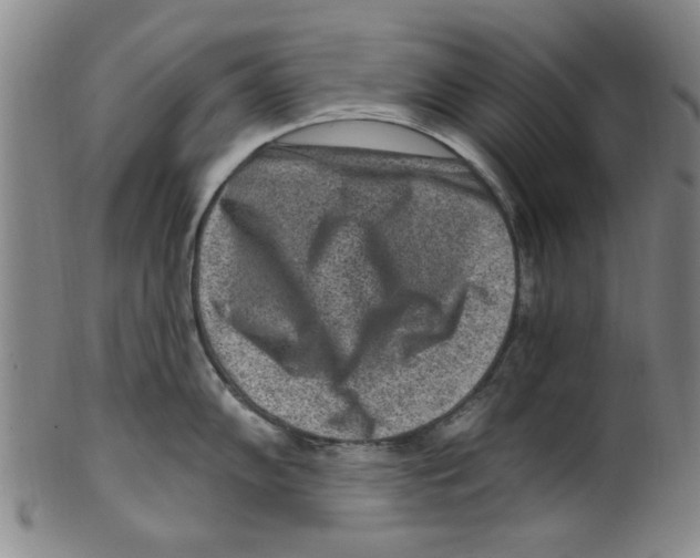 X0000099481102200806061239