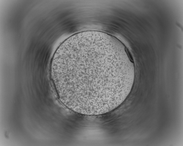 X0000099481104200806061239