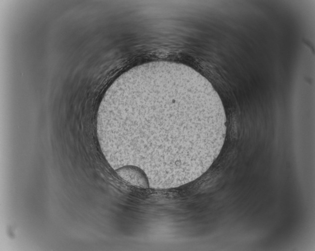 X0000099481105200806061238