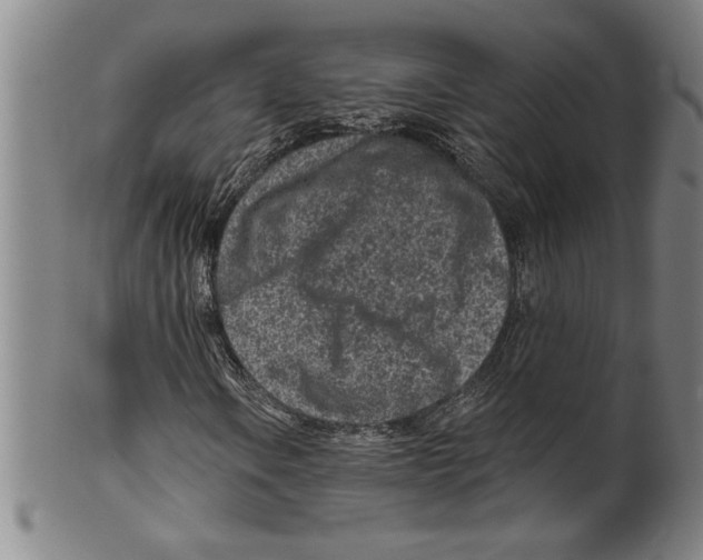 X0000099481106200806061238