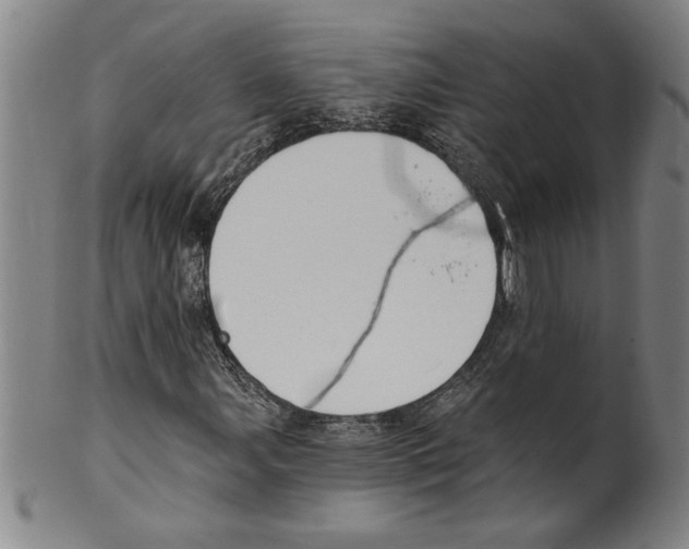 X0000099481107200806061238