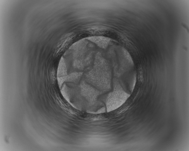 X0000099481108200806061238