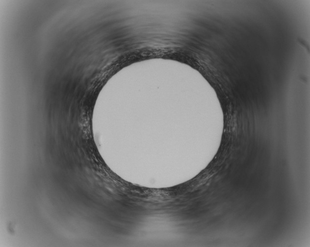 X0000099481109200806061238