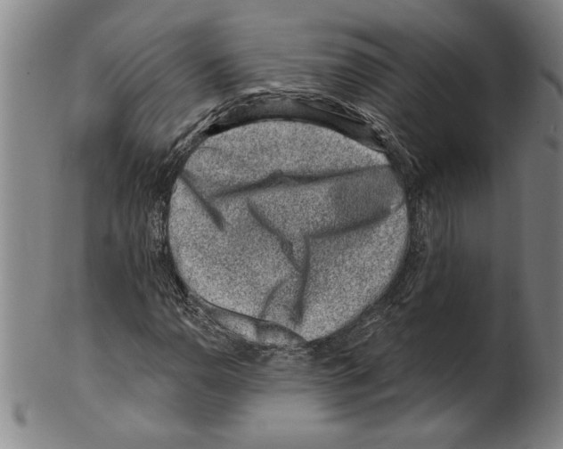 X0000099481110200806061238