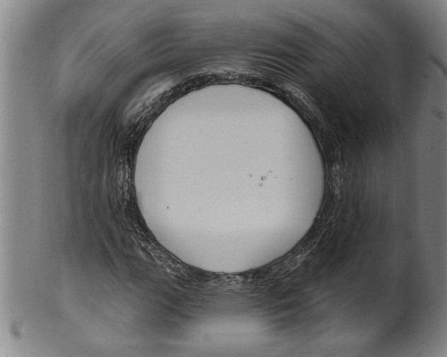 X0000099481111200806061238