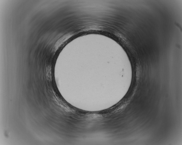 X0000099481113200806061238