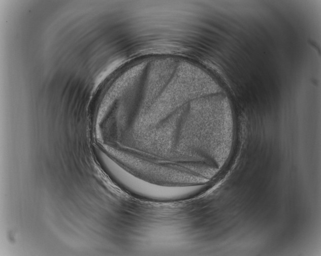 X0000099481114200806061238