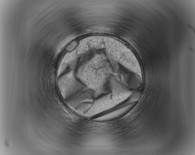 X0000099481115200806061238