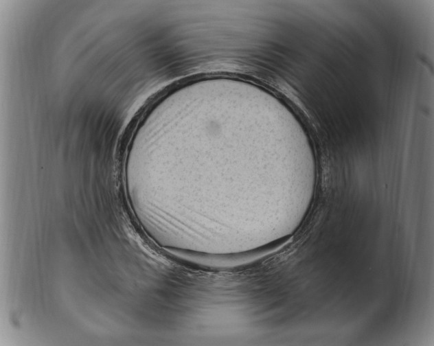X0000099481116200806061238