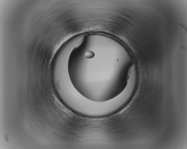 X0000099481118200806061238