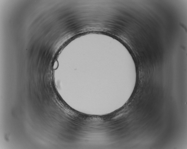 X0000099481119200806061238
