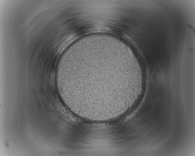 X0000099481121200806061238