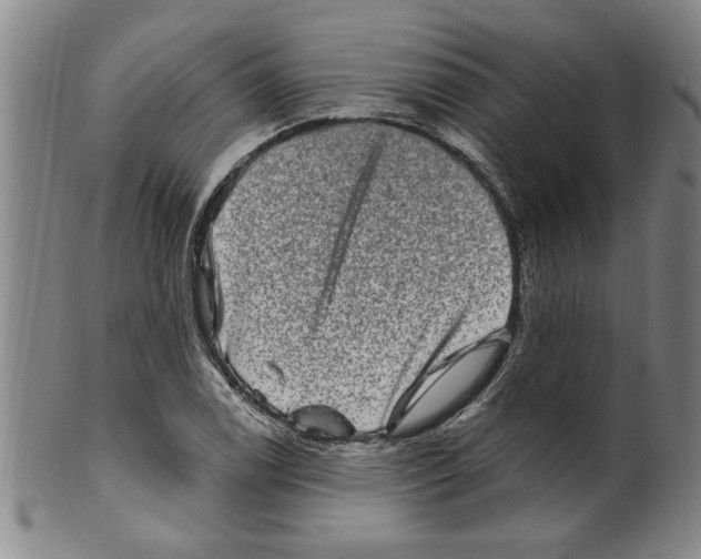 X0000099481122200806061238